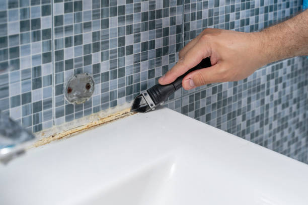 Best Black Mold Removal  in West Orange, TX